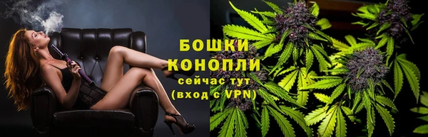 ECSTASY Богданович